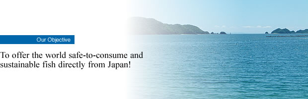 Our Objective
To offer the world safe-to-consume and sustainable fish directly from Japan!