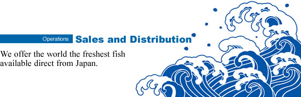 Operations
Sales and Distribution
We offer the world the freshest fish available direct from Japan.