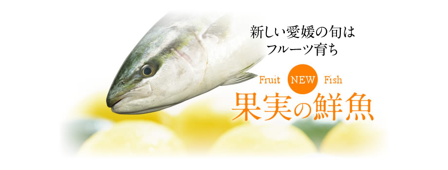 新しい愛媛の旬はフルーツ育ち 果実の鮮魚