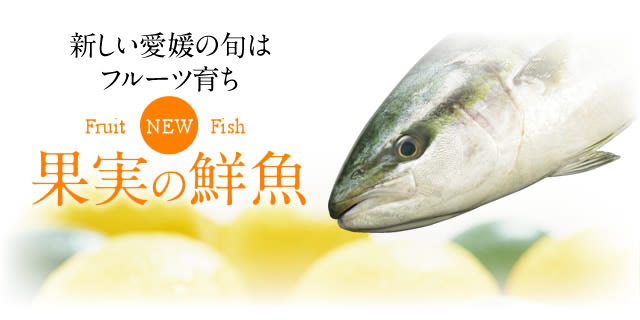 新しい愛媛の旬はフルーツ育ち 果実の鮮魚