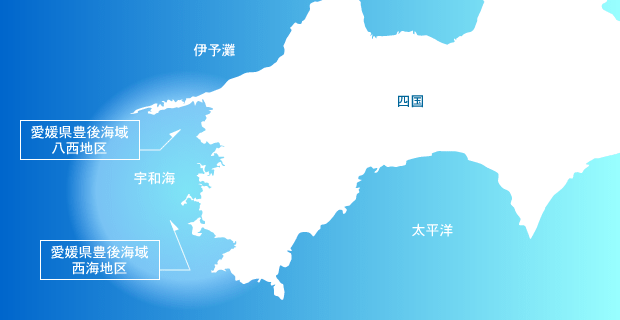 マルミ生産者グループ愛媛県海域図